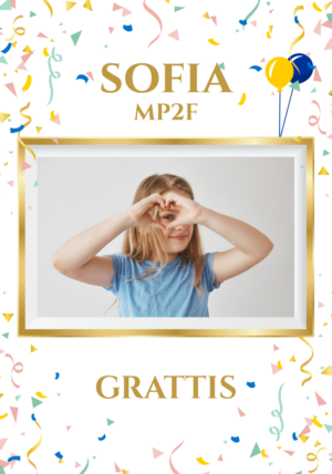 Regntålig studentskylt